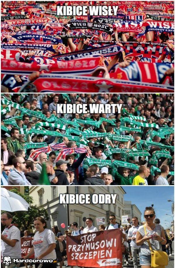 Kibice - 1