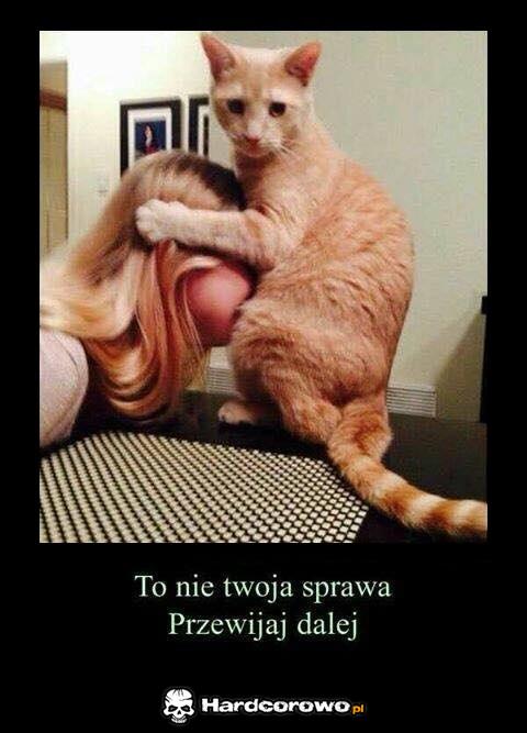 Nie ma na co patrzeć! - 1