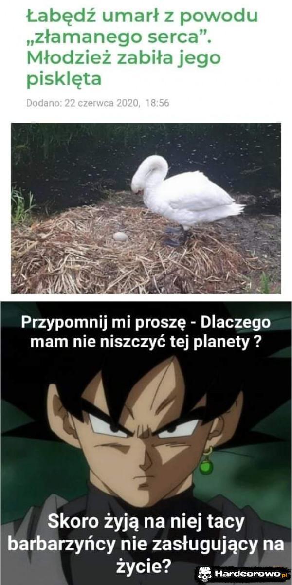  - 1