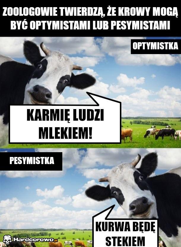 Muuu - 1