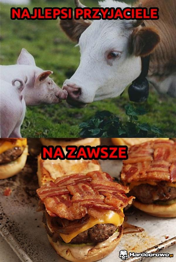 Przyjaźń na wieki - 1