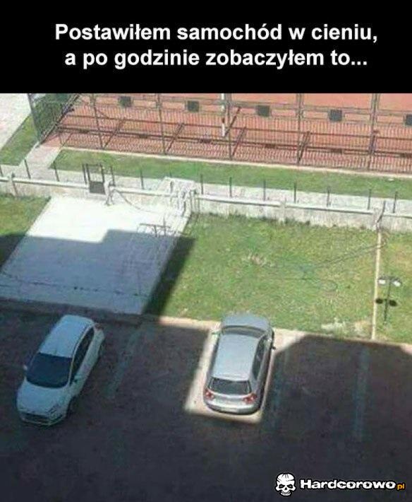 Życie płata figle - 1