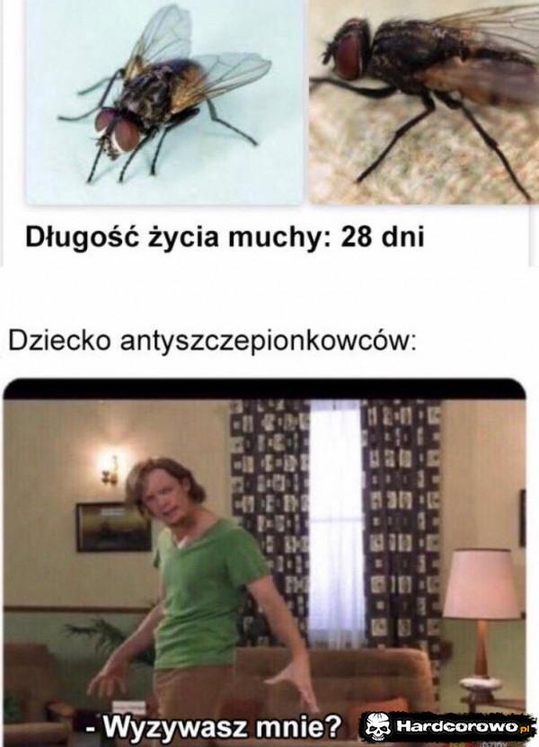  - 1