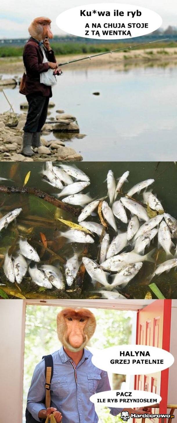 Udany połów - 1