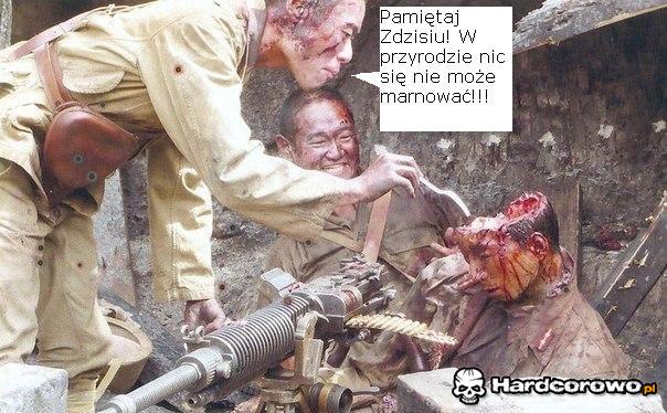 W przyrodzie nic się nie marnuje - 1