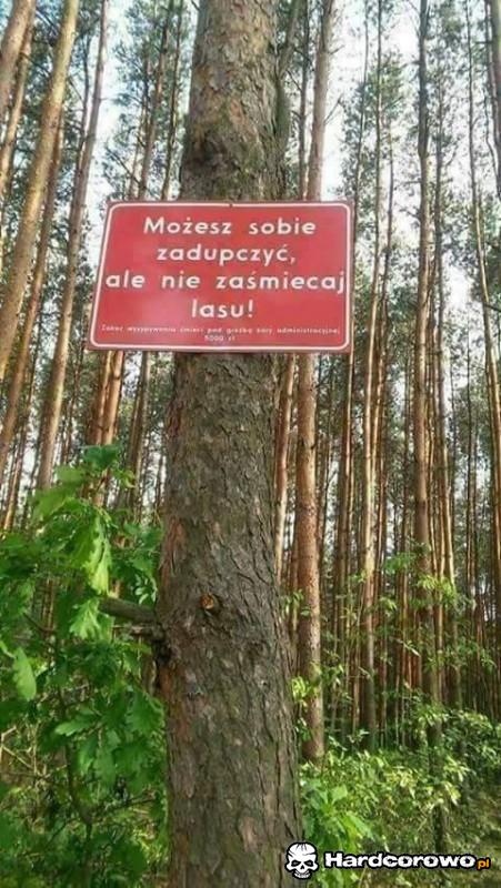 No dobra ok - 1