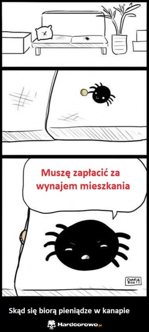 Teraz znasz odpowiedź  - 1