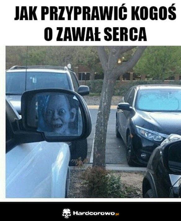 Żarcik - 1