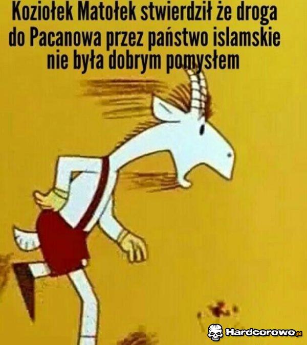 Koziołek Matołek - 1
