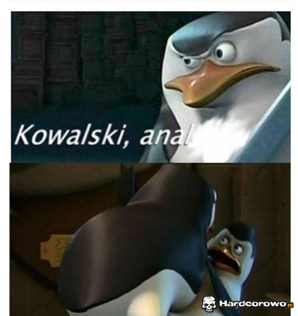Anal  - 1