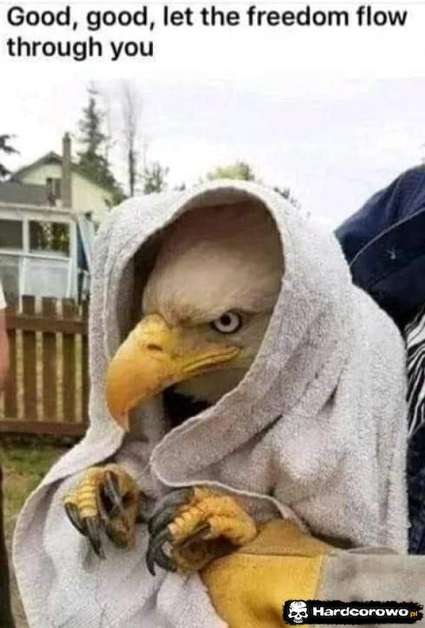  - 1