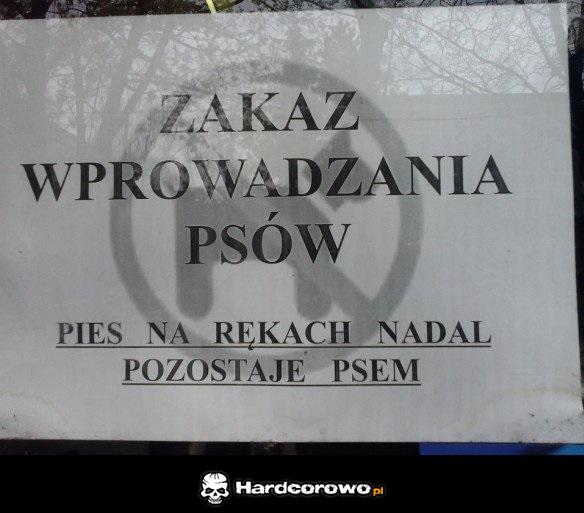 Pies jest psem - 1