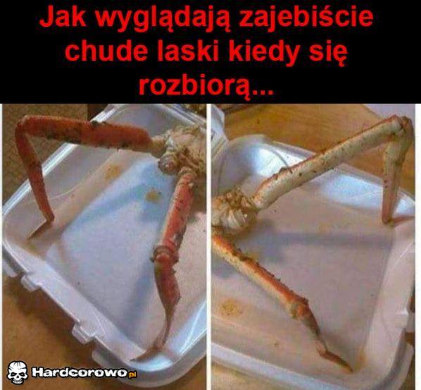Patyczaki - 1