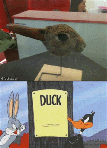 To kaczka czy królik? - 1