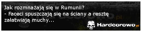 Rozmnażanie w Rumunii - 1