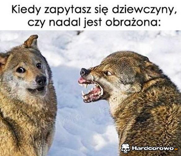 Chyba nadal się gniewa - 1