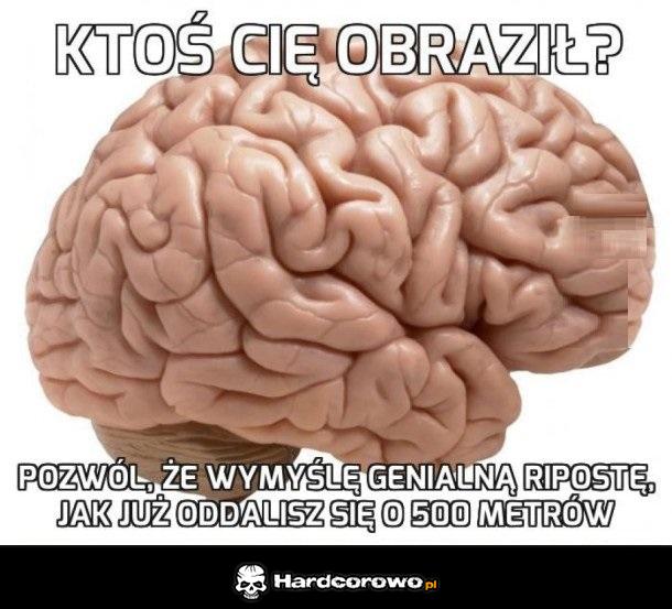 Typowy mózg - 1