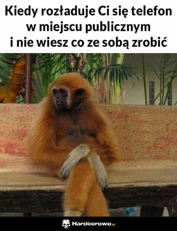 Tak wiele pytań - 1