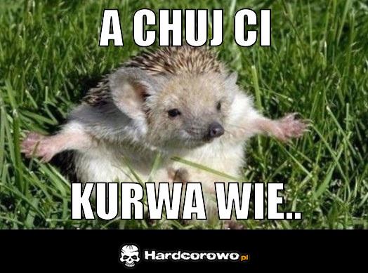 A Chuj Ci kurwa wie - 1