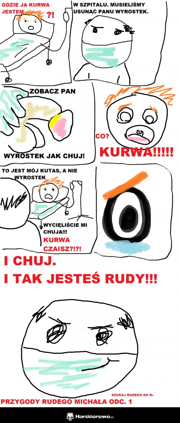 Rudy Michał - 1