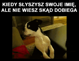 Kiedy słyszysz swoje imię - 1