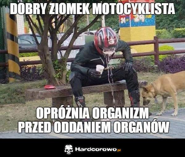 Dobry ziomek - 1
