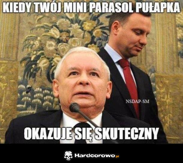 Parasol pułapka - 1