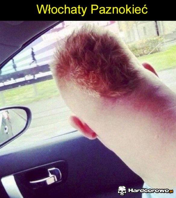 Włochaty paznokieć - 1