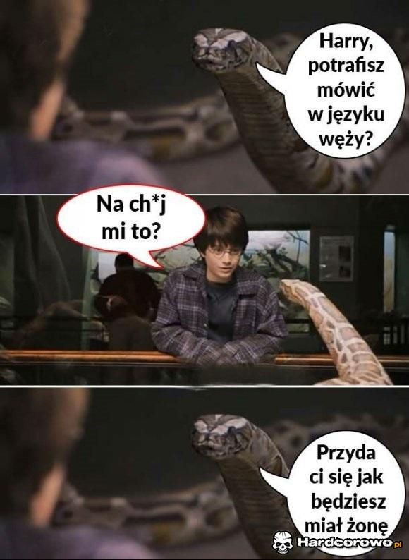 Język węży - 1