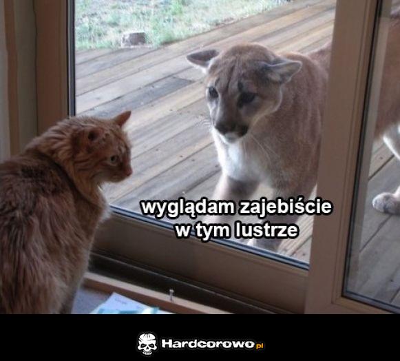 Najlepsze lustro - 1