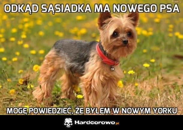 Nowy York - 1