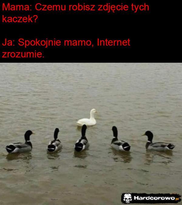  - 1