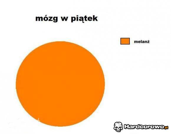 Mózg w piątek - 1