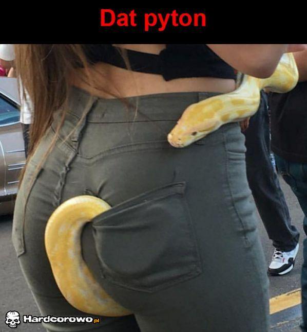 Pyton  - 1