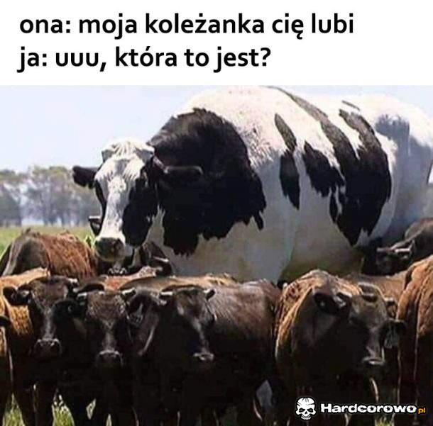 Moja koleżanka - 1