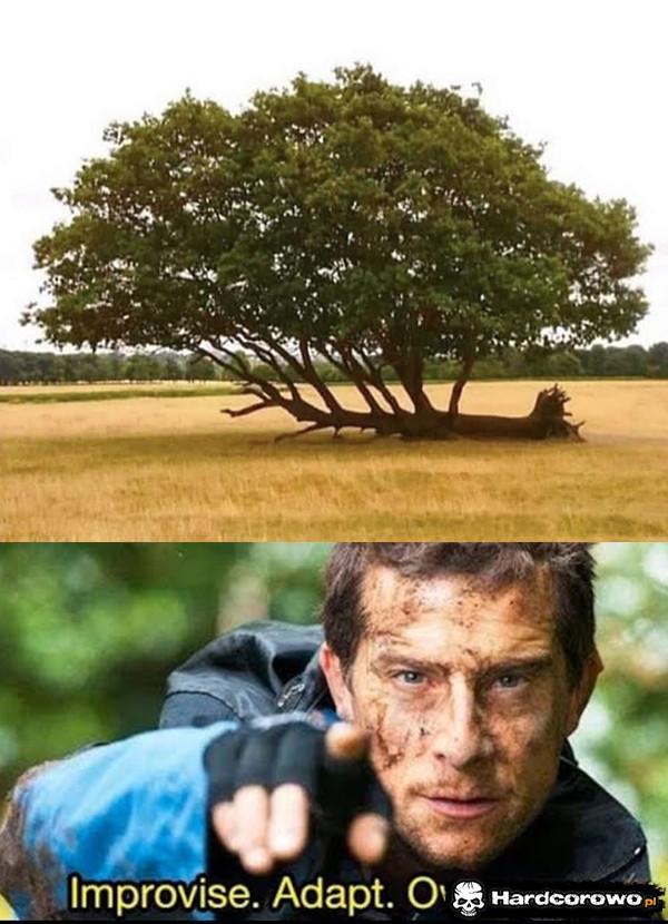  - 1