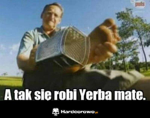 Yerba mate - 1
