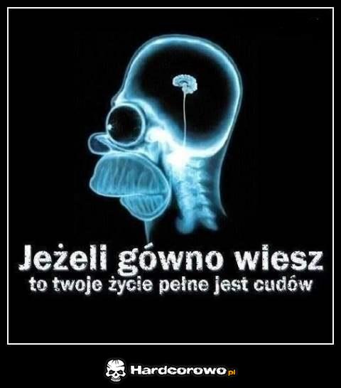 Jeśli gówno wiesz - 1