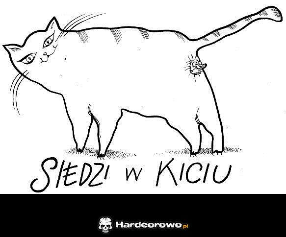 Siedzi w kiciu - 1