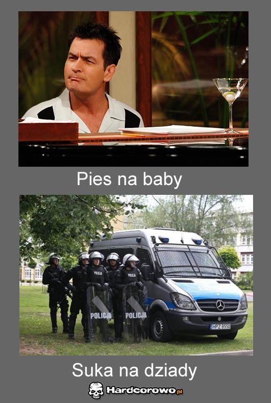 Pies na baby - 1