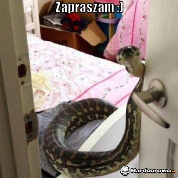 Dzień dobry - 1