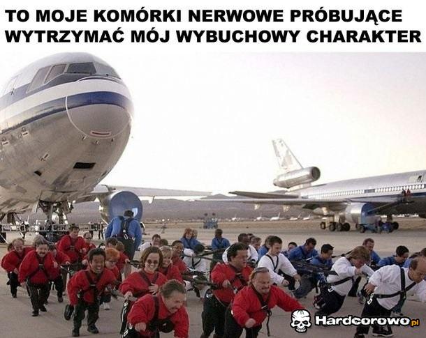 Komórki nerwowe - 1