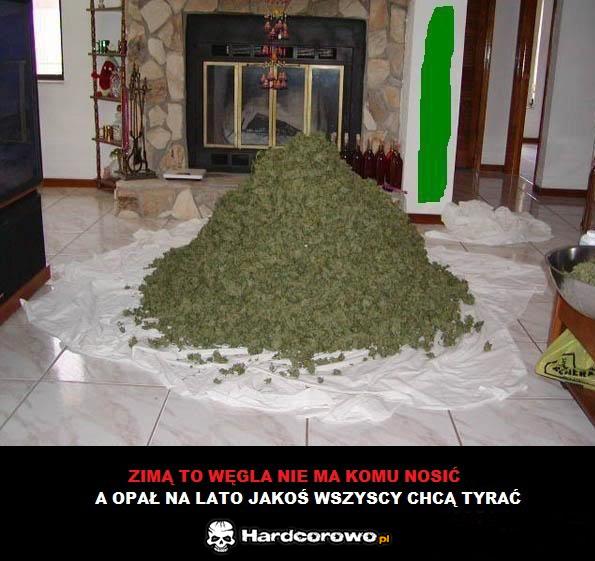 Opał na lato - 1