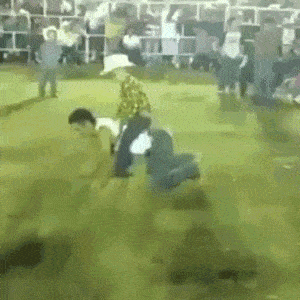 Rodeo - 1