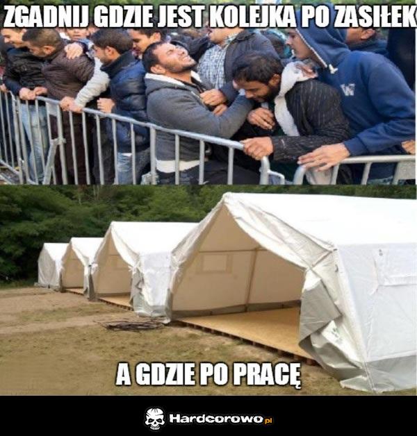 Imigranci bardzo chcą pracować - 1