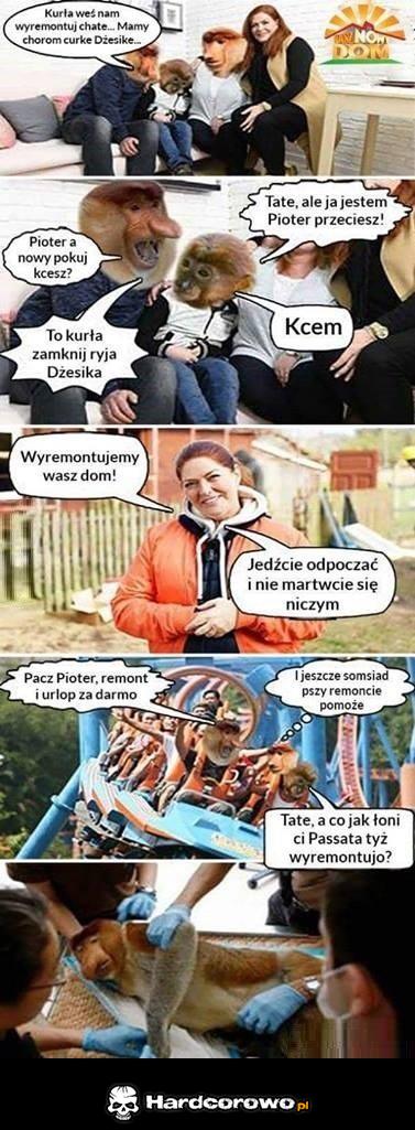 Janusze w telewizji - 1