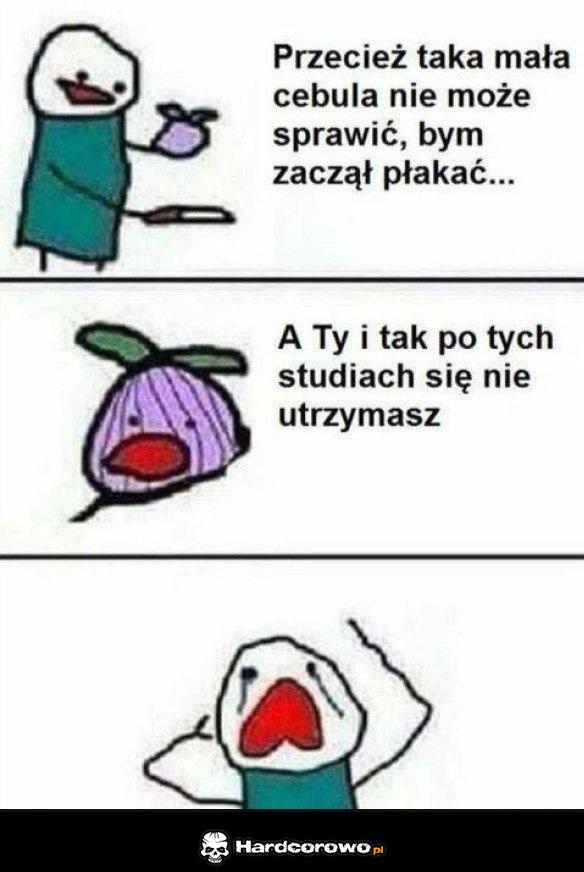 Historia pewnej cebuli - 1