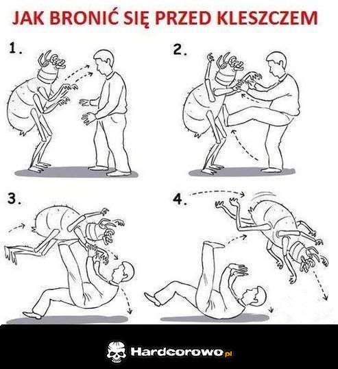 Jak bronić się przed kleszczem? - 1