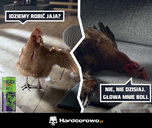 Idziemy robić jaja? - 1