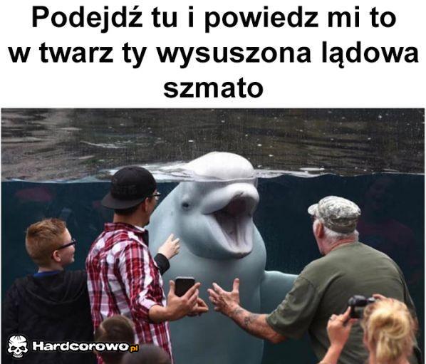 Wkurzony - 1